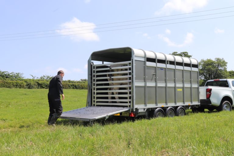 Ifor Williams DP120 Heckrampe offen