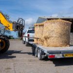 Ifor Williams DP120 Pritsche Laden