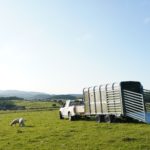Ifor Williams DP120 Produktbild