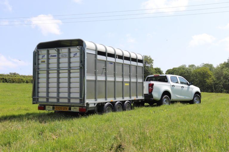 Ifor Williams DP120 hinten rechts