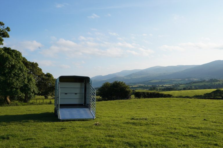 Ifor Williams DP120 offen
